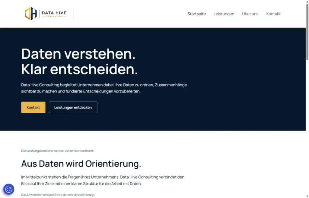 Capture du site Data Hive Consulting : présentation du conseil en données